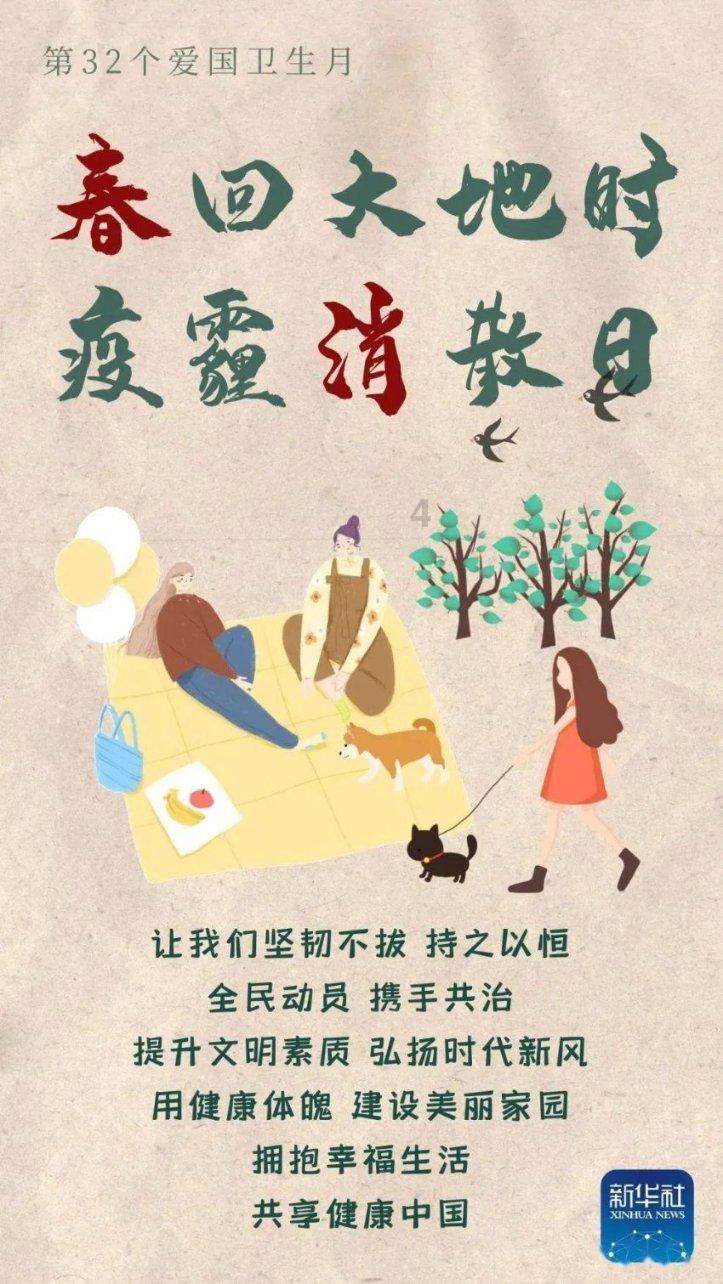 寻找萌宠松鼠