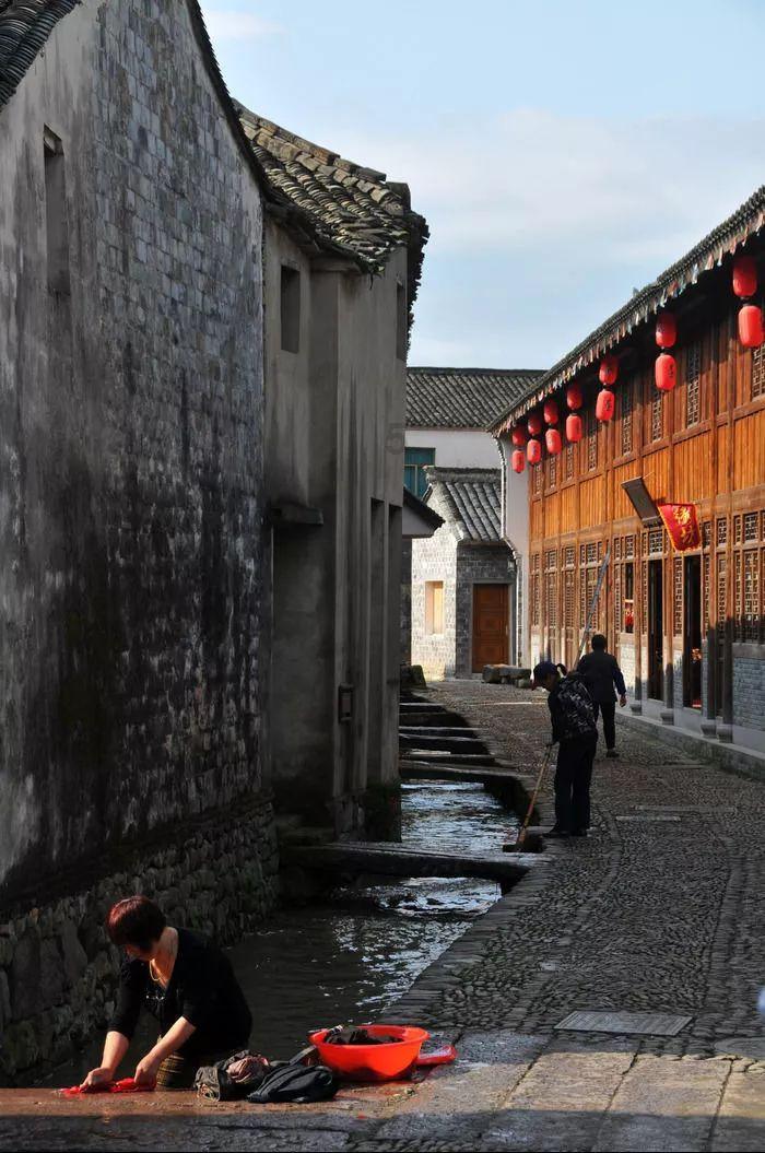 用绳子系住蜻蜓尾巴它会死吗？游戏画面